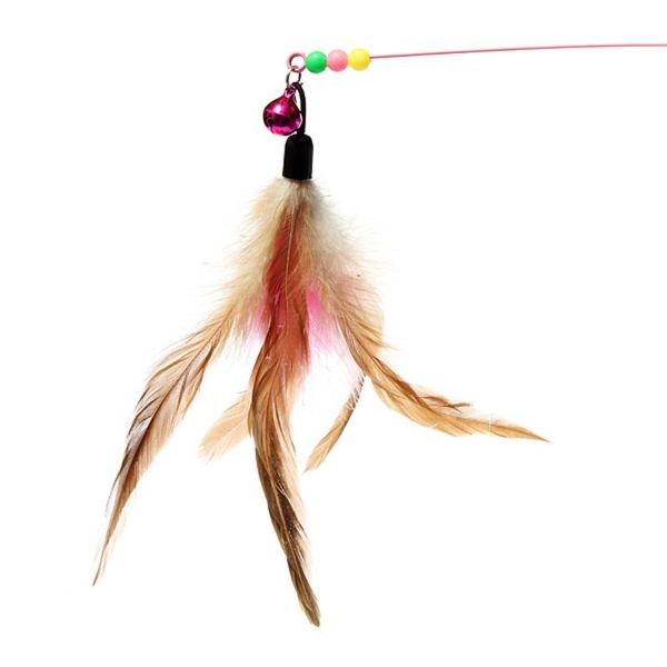 cat toys puppy creative feathers funny cats wire rods flying bell favorite toy for pet products pets feather
cat toys puppy creative feathers funny cats wire rods flying bell favorite toy for pet products pets feather
