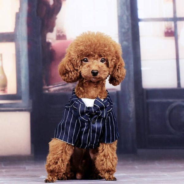 dog apparel pet clothes cat prince wedding suit cute gentleman cachorro mascotas chihuahua tuxedo bow tie puppy coat supplies pets85
dog apparel pet clothes cat prince wedding suit cute gentleman cachorro mascotas chihuahua tuxedo bow tie puppy coat supplies pets85