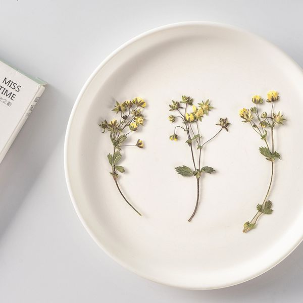 mountain plum flower with branches embossed plant specimen drop glue mobile phone case diy material dry real festival gift design
mountain plum flower with branches embossed plant specimen drop glue mobile phone case diy material dry real festival gift design