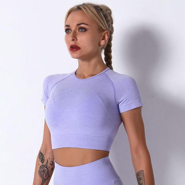 women seamless yoga shirts elastics solid breathable fitness sport quick dry joggings athletic short sleeve outfit
women seamless yoga shirts elastics solid breathable fitness sport quick dry joggings athletic short sleeve outfit