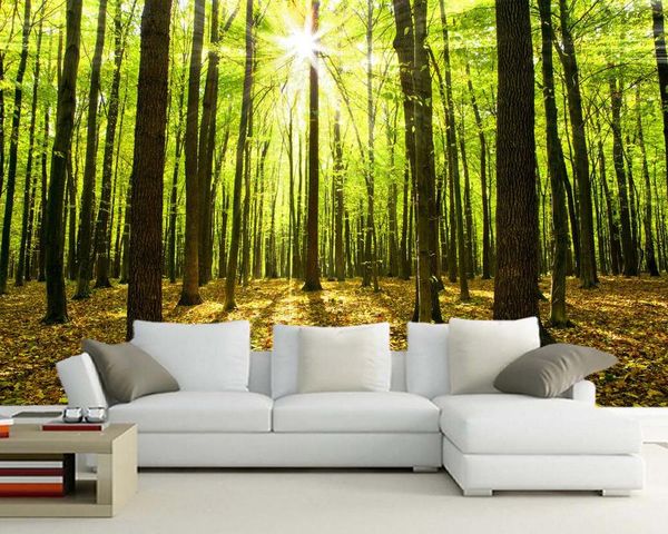wallpapers papel de pared autumn forest sunlight natural 3d wallpaper,living room tv wall bedroom papers home decor restaurant mural
wallpapers papel de pared autumn forest sunlight natural 3d wallpaper,living room tv wall bedroom papers home decor restaurant mural