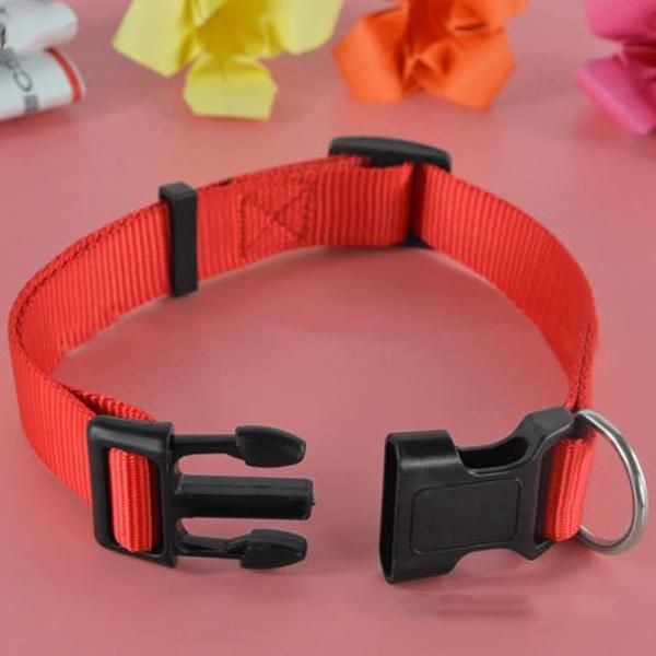 dog collars & leashes adjustable nylon puppy collar with buckle and clip for lead
dog collars & leashes adjustable nylon puppy collar with buckle and clip for lead