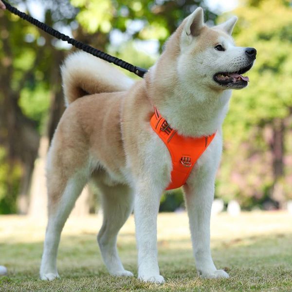 dog collars & leashes pet sports traction chest strap vest explosion-proof soft breathable comfortable accessories
dog collars & leashes pet sports traction chest strap vest explosion-proof soft breathable comfortable accessories