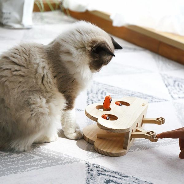 cat toys aapet 1pc wooden toy whack mole mouse for interactive punch whac-a-mole pet kitty funny chasing gaming
cat toys aapet 1pc wooden toy whack mole mouse for interactive punch whac-a-mole pet kitty funny chasing gaming