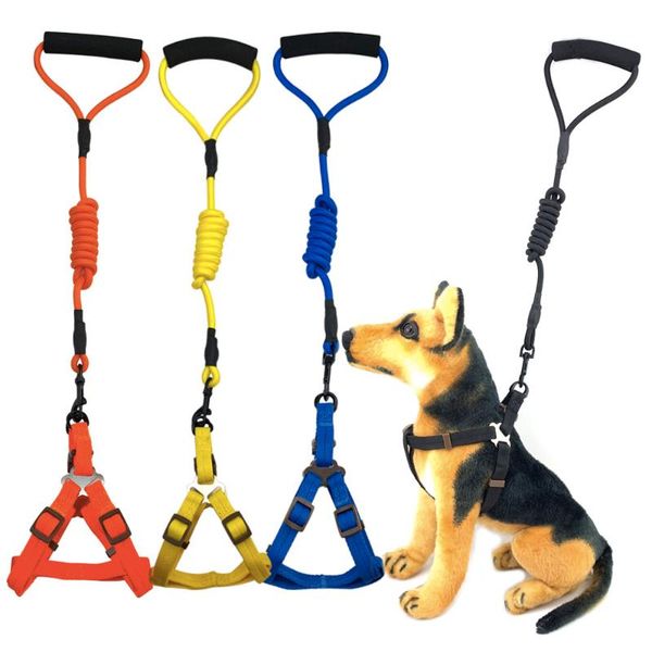 dog collars & leashes 5 colors nylon leash and collar set for small medium large puppy big necklace rope pets accessories
dog collars & leashes 5 colors nylon leash and collar set for small medium large puppy big necklace rope pets accessories
