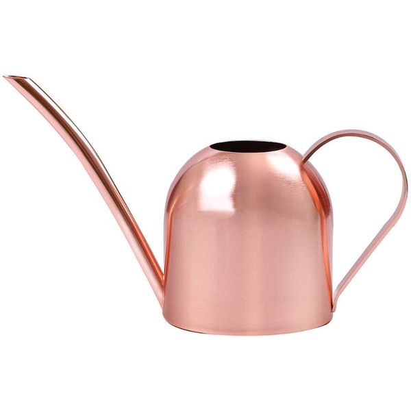 watering equipments long mouth water stainless steel bottle succulent plants gardening spraying pot garden tool 500ml
watering equipments long mouth water stainless steel bottle succulent plants gardening spraying pot garden tool 500ml