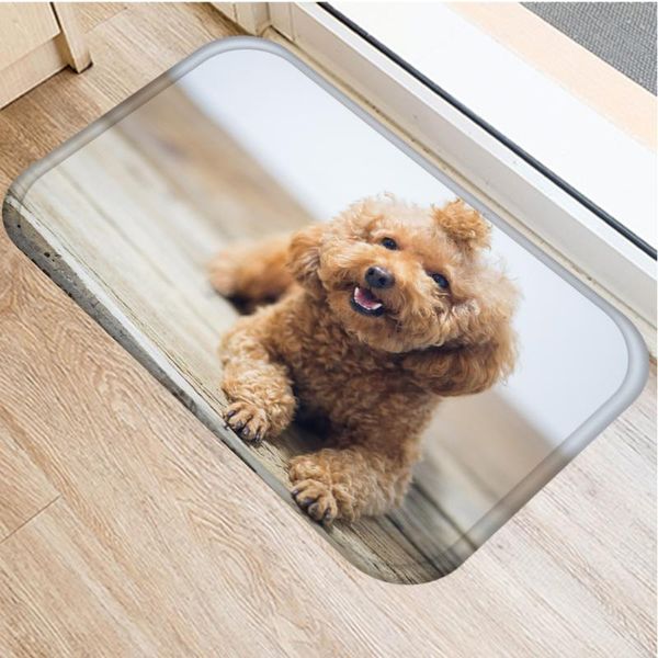 cushion/decorative pillow teddy dog flannel non-slip mat can diy custom made picture logo home kitchen bathroom carpet decoration clean door
cushion/decorative pillow teddy dog flannel non-slip mat can diy custom made picture logo home kitchen bathroom carpet decoration clean door