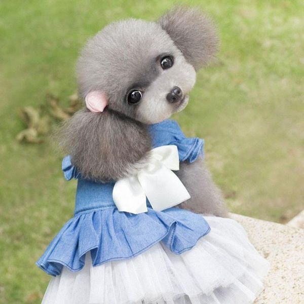 dog apparel puoupuou sweet pet clothes bow skirt costume for small medium dogs puppy cute lovely ropa para perro xs-xxl
dog apparel puoupuou sweet pet clothes bow skirt costume for small medium dogs puppy cute lovely ropa para perro xs-xxl