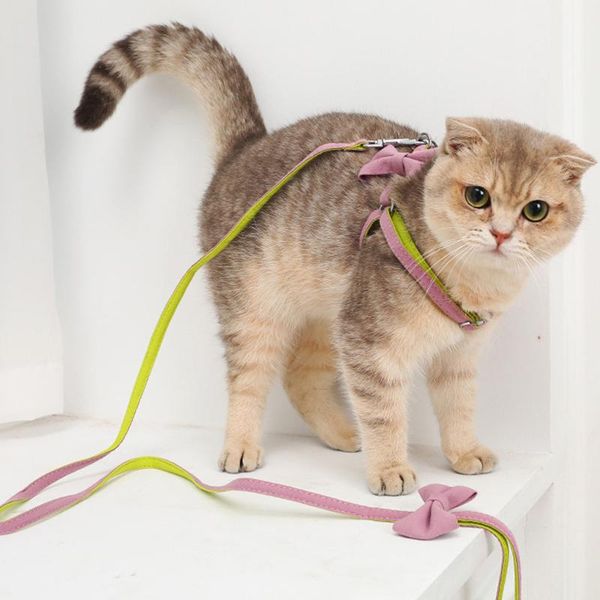 cat collars & leads fashion pet leash polyester kitty with bow adjustable retractable dogs cats leashes outgoing walking accessories
cat collars & leads fashion pet leash polyester kitty with bow adjustable retractable dogs cats leashes outgoing walking accessories