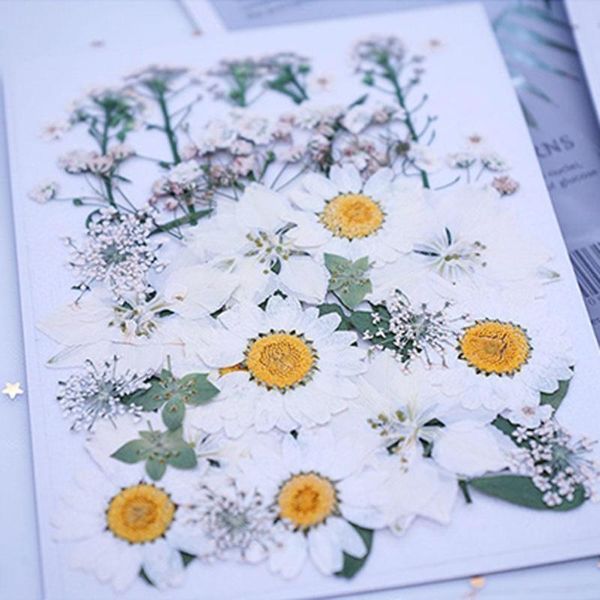 window stickers diy dried flowers resin mold fillings uv expoxy flower for epoxy molds jewelry making craft home decor handicraft w6b1
window stickers diy dried flowers resin mold fillings uv expoxy flower for epoxy molds jewelry making craft home decor handicraft w6b1