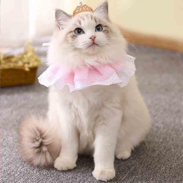 cat costumes scarf pet lace bib saliva accessories to decorate the kitten with a triangle 
cat costumes scarf pet lace bib saliva accessories to decorate the kitten with a triangle