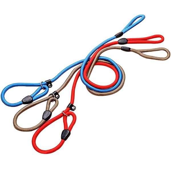 nylon dog training leash dogs p chain anti-riot slip collar walking leads rope for small medium breeds chihuahua teddy collars & leashes
nylon dog training leash dogs p chain anti-riot slip collar walking leads rope for small medium breeds chihuahua teddy collars & leashes