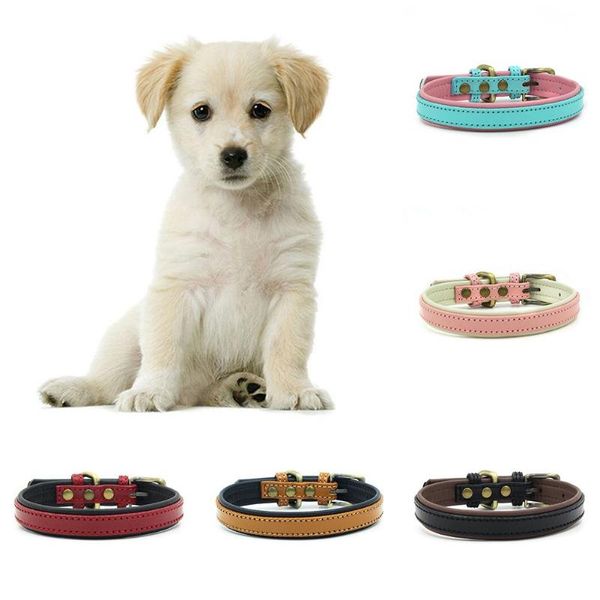 dog collar pets puppy collars and harnesses adjustable faux leather safety belt buckle harness leash neck strap & leashes
dog collar pets puppy collars and harnesses adjustable faux leather safety belt buckle harness leash neck strap & leashes