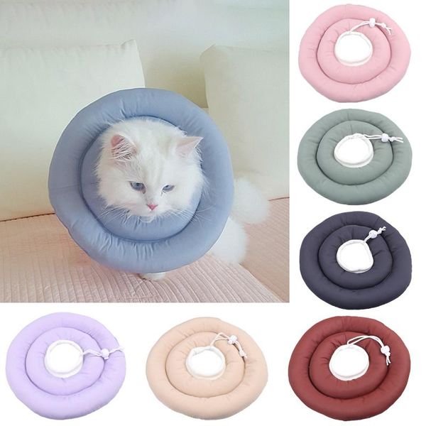 dog collars & leashes waterproof pet elizabeth circle cute flower shape cat collar anti-bite anti-scratch anti-licking wound healing
dog collars & leashes waterproof pet elizabeth circle cute flower shape cat collar anti-bite anti-scratch anti-licking wound healing