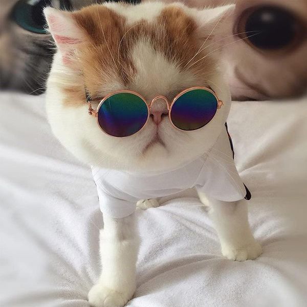 cat costumes pet sunglasses lovely vintage round reflection eye wear glasses po prop protection accessories
cat costumes pet sunglasses lovely vintage round reflection eye wear glasses po prop protection accessories