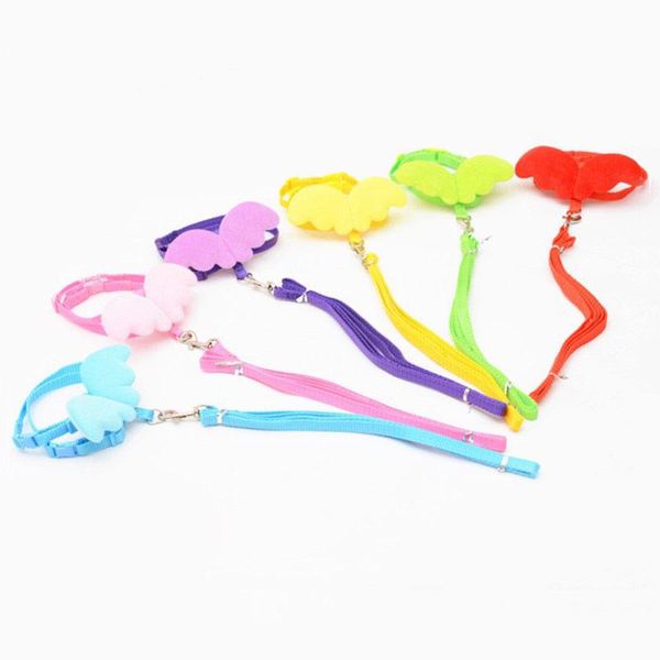 dog collars & leashes leash belt puppy pet dogs cat traction rope for small medium products extending running leads training
dog collars & leashes leash belt puppy pet dogs cat traction rope for small medium products extending running leads training