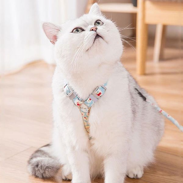 dog collars & leashes safe cat harness pet adjustable wearable walking lead leash for puppy polyester mesh small medium
dog collars & leashes safe cat harness pet adjustable wearable walking lead leash for puppy polyester mesh small medium