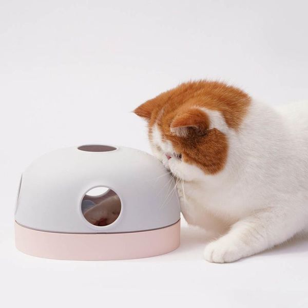 cat toys multifunction pet interactive training toy playing supplies products puzzle
cat toys multifunction pet interactive training toy playing supplies products puzzle