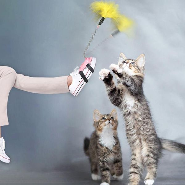 cat toys interactieve kat speelgoed grappige gratis handen teaser wand met veer voor kitten huisdier producten
cat toys interactieve kat speelgoed grappige gratis handen teaser wand met veer voor kitten huisdier producten