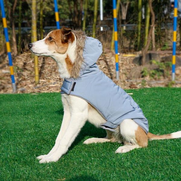 dog apparel windproofjacket for small medium 2021 retro design hooded winter pet coat soft jacket vest warm outfit
dog apparel windproofjacket for small medium 2021 retro design hooded winter pet coat soft jacket vest warm outfit