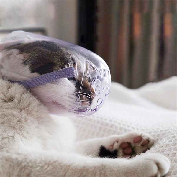 transparent cat eye shade avoid biting bath bag injection pet collar head cover muzzle costumes
transparent cat eye shade avoid biting bath bag injection pet collar head cover muzzle costumes