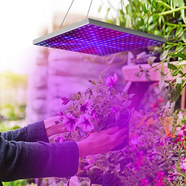 grow lights 225 led lamp beads full spectrum plant growth light high efficient indoor growing energy saving heat dissipation lighting
grow lights 225 led lamp beads full spectrum plant growth light high efficient indoor growing energy saving heat dissipation lighting
