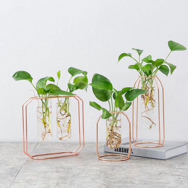 vases nordic glass vase gold plated iron hydroponic plant creative geometric terrarium room home wedding decoration gift bonsai
vases nordic glass vase gold plated iron hydroponic plant creative geometric terrarium room home wedding decoration gift bonsai
