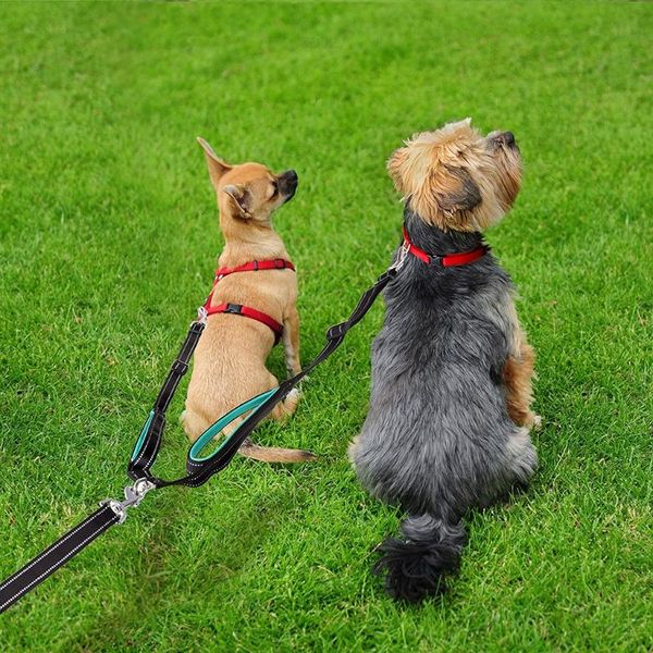 dog leash double leashes running walking traction rope hand reflective adjustable leashs for small medium large collars &
dog leash double leashes running walking traction rope hand reflective adjustable leashs for small medium large collars &