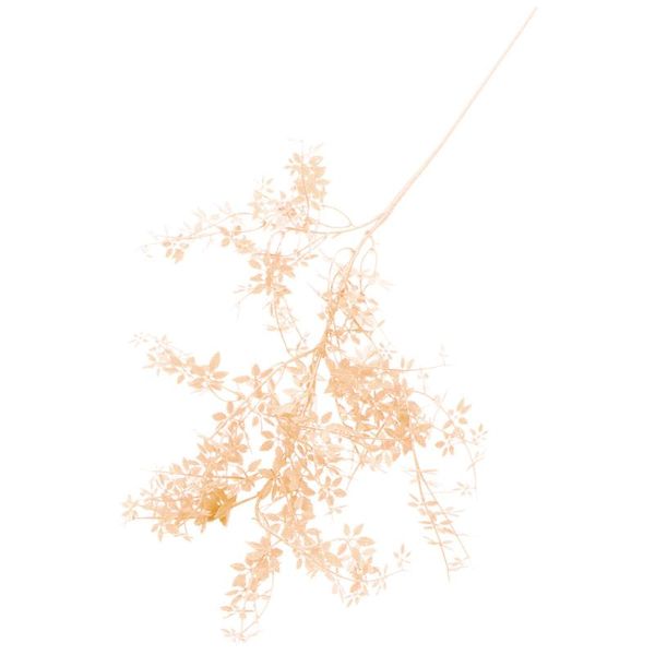 decorative flowers & wreaths 2pcs simulation plant ornament artificial decor charming fake leaf
decorative flowers & wreaths 2pcs simulation plant ornament artificial decor charming fake leaf