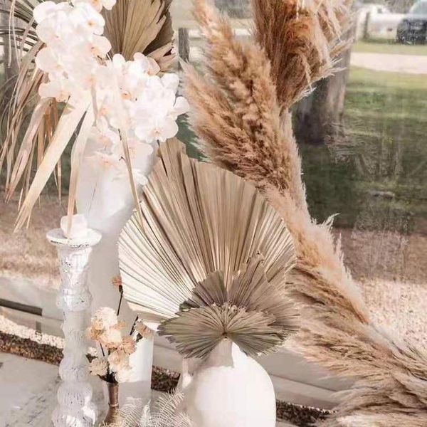 decorative flowers & wreaths palm leaves fan leaf pampas grass real natural plants dried flower artificial art home decoration wedding arran
decorative flowers & wreaths palm leaves fan leaf pampas grass real natural plants dried flower artificial art home decoration wedding arran
