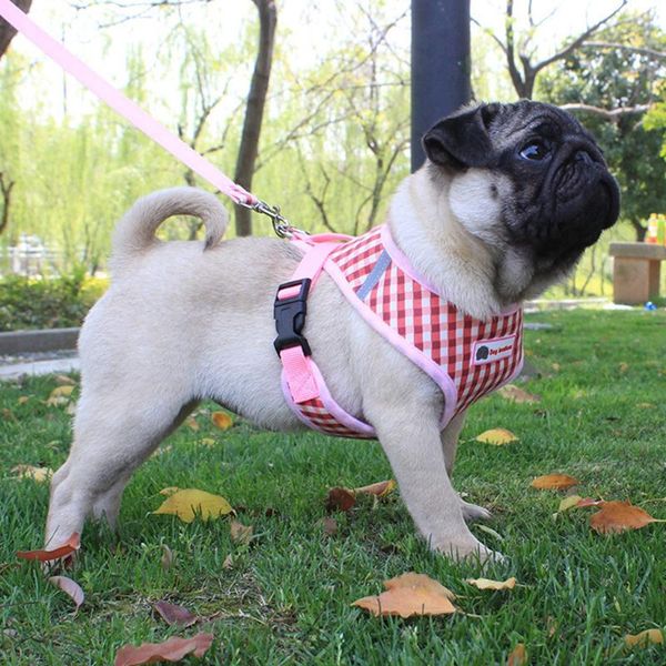 dog collars & leashes reflective harness vest for small medium dogs cartoon print mesh collar puppy cat walking lead leash chest strappet su
dog collars & leashes reflective harness vest for small medium dogs cartoon print mesh collar puppy cat walking lead leash chest strappet su