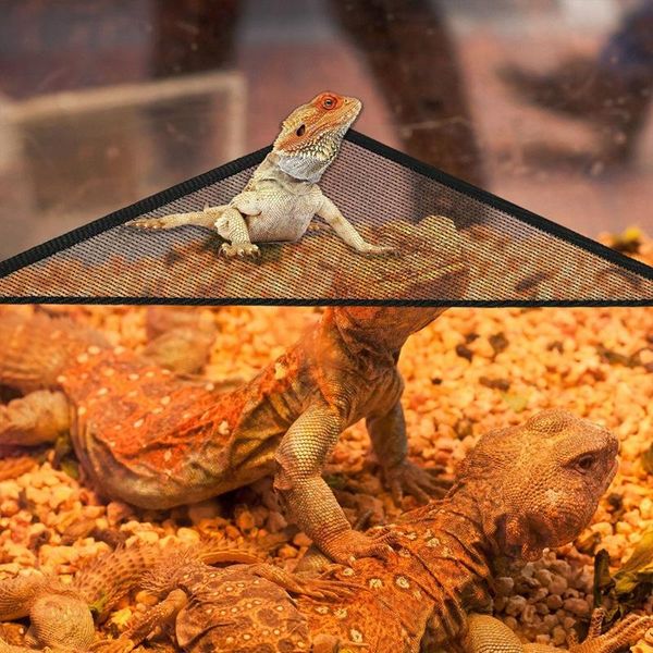 dog houses & kennels accessories pet hammock reptile breathable lizard swing leisure net mat 2pcs
dog houses & kennels accessories pet hammock reptile breathable lizard swing leisure net mat 2pcs
