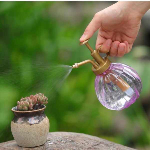 watering equipments 1pcs plant flower glass garden pot mister 350ml water sprayer bottle spray irrigation supplies hairdressing tool
watering equipments 1pcs plant flower glass garden pot mister 350ml water sprayer bottle spray irrigation supplies hairdressing tool