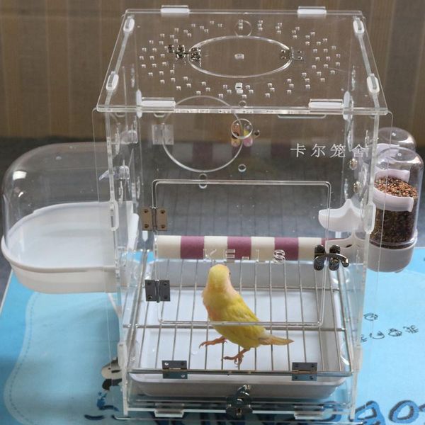 bird cages transparent tray cage parrot plastic rectangle acrylic houses outdoor gabbia per uccelli playground dl60nl
bird cages transparent tray cage parrot plastic rectangle acrylic houses outdoor gabbia per uccelli playground dl60nl
