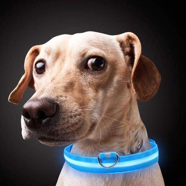 dog collars & leashes nylon led pet collar night safety flashing glow in the dark dogs leash neck band luminous fluorescent pets supplies 
dog collars & leashes nylon led pet collar night safety flashing glow in the dark dogs leash neck band luminous fluorescent pets supplies
