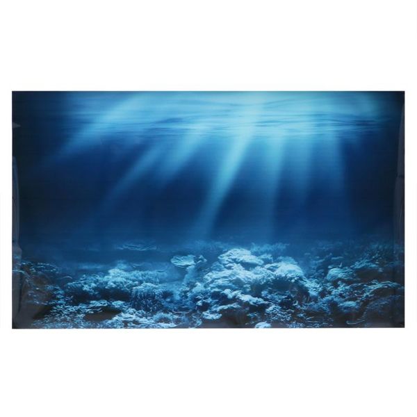 decorations aquarium background sticker fish tank wallpaper coral reef poster decal
decorations aquarium background sticker fish tank wallpaper coral reef poster decal