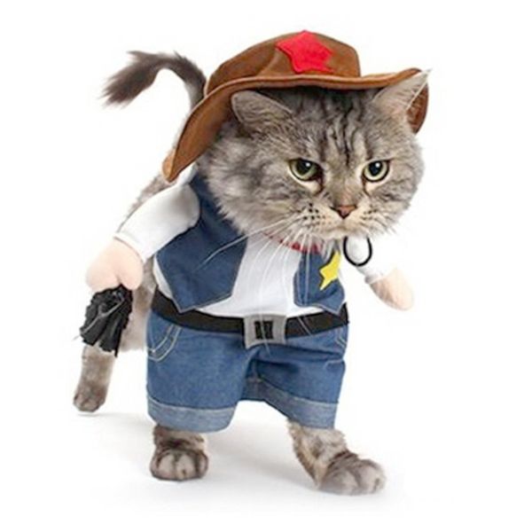 gomaomi pet dog cat costume cowboy jeans hoodie shirts haoween costume jumpsuit puppy cothes funny coat
gomaomi pet dog cat costume cowboy jeans hoodie shirts haoween costume jumpsuit puppy cothes funny coat