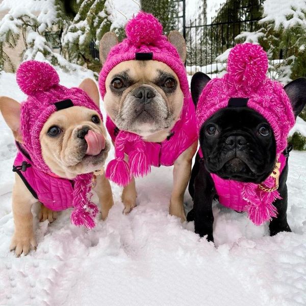 cat costumes warm pet dog knitted hat winter windproof headwear for small medium cats products heagear
cat costumes warm pet dog knitted hat winter windproof headwear for small medium cats products heagear