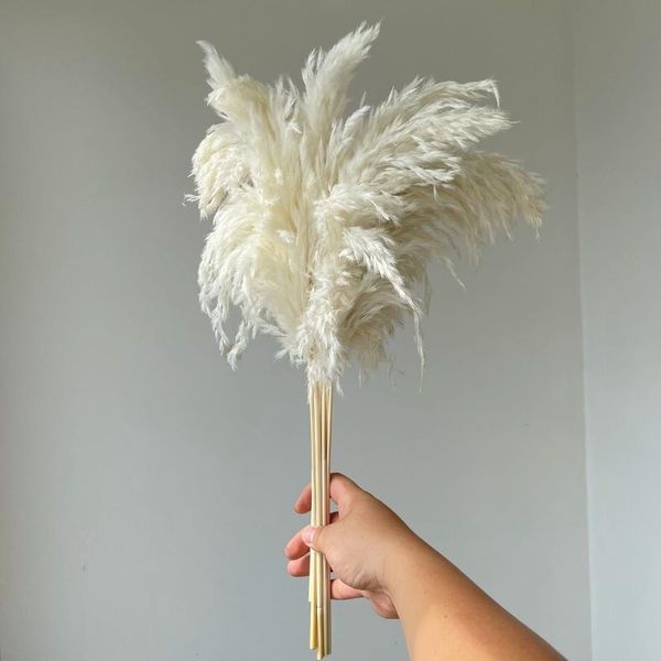 decorative flowers & wreaths 2021 white color large size dried pampas grass wedding decor flower bunch natural fall home plants
decorative flowers & wreaths 2021 white color large size dried pampas grass wedding decor flower bunch natural fall home plants