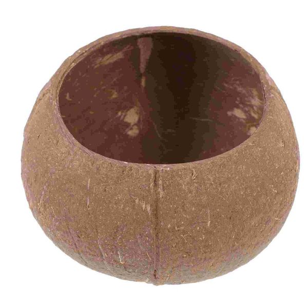 candle holders coconut storage bowl shell scented holder wax