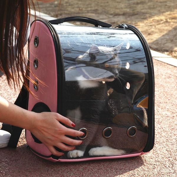 dog car seat covers pet backpack travel portable space ventilation window cat carrying bag product pu carrier
dog car seat covers pet backpack travel portable space ventilation window cat carrying bag product pu carrier