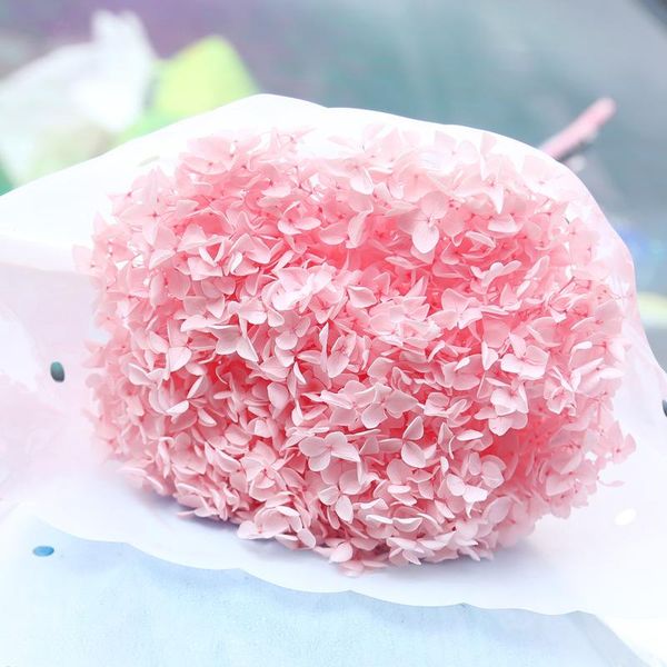 decorative flowers & wreaths natural dried preserved hydrangea branch head can be matched with valentines day gifts home decoration shooting
decorative flowers & wreaths natural dried preserved hydrangea branch head can be matched with valentines day gifts home decoration shooting