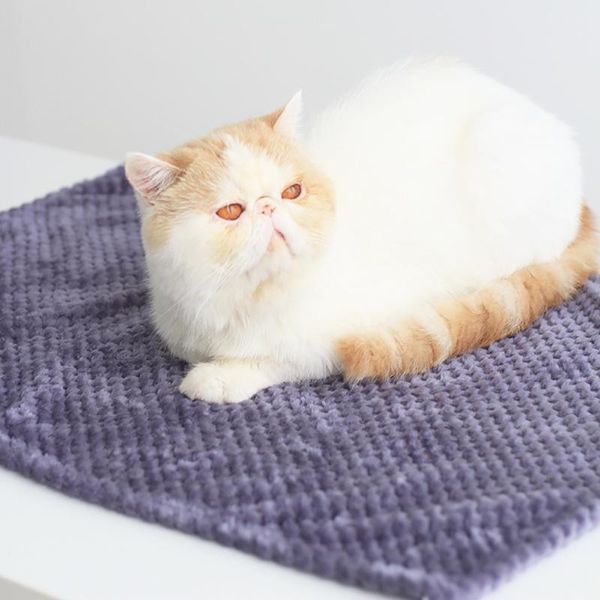 kennels & pens pet warm multipurpose corduroy non stick wool blanket mechanical wash
kennels & pens pet warm multipurpose corduroy non stick wool blanket mechanical wash