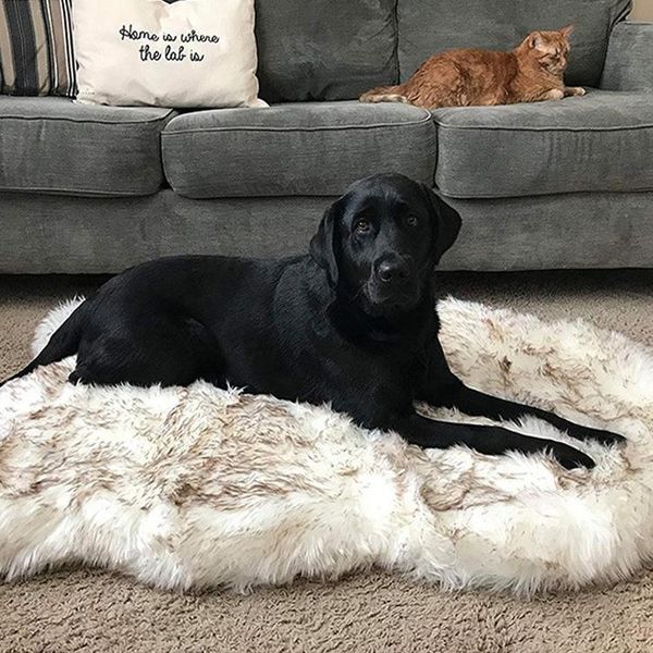 kennels & pens pets blanket dog bed cat mat soft artificial fur winter thicken warm sleeping beds for small medium dogs cats pet supplies
kennels & pens pets blanket dog bed cat mat soft artificial fur winter thicken warm sleeping beds for small medium dogs cats pet supplies