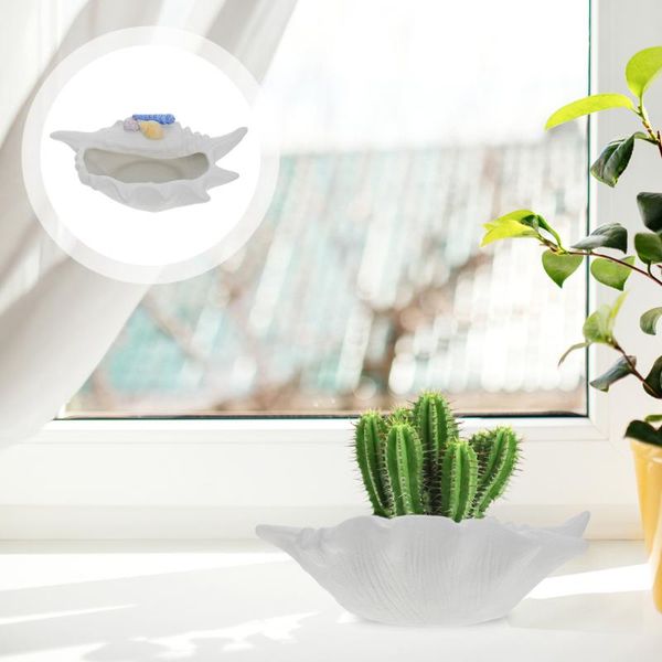 planters & pots 1pc conch shape plants holder durable succulent plant container
planters & pots 1pc conch shape plants holder durable succulent plant container