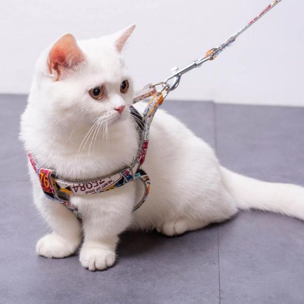 cat collars & leads pet traction rope convenient universal training harness leash kit leashes set durable
cat collars & leads pet traction rope convenient universal training harness leash kit leashes set durable