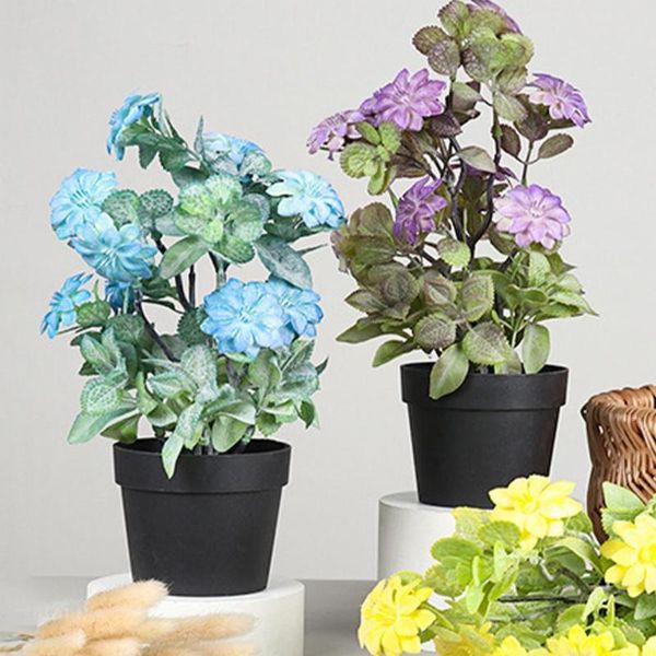 decorative flowers & wreaths plastic 1pc special delicately cut artificial plant wide application fake flower ornamental for party
decorative flowers & wreaths plastic 1pc special delicately cut artificial plant wide application fake flower ornamental for party