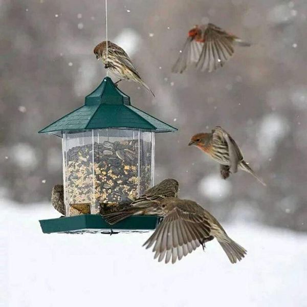 other bird supplies feeder heavy plastic green hanging wild seed food container window viewing el table
other bird supplies feeder heavy plastic green hanging wild seed food container window viewing el table