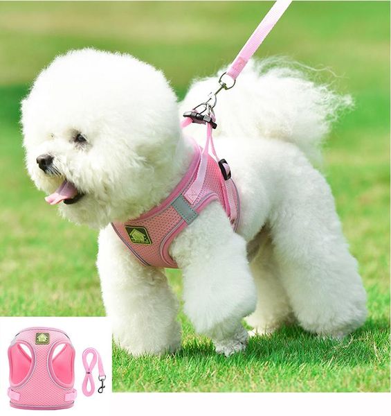 dog collars & leashes cat harness vest adjustable reflective breathable pet for medium large breast-band husky alaskan accessories
dog collars & leashes cat harness vest adjustable reflective breathable pet for medium large breast-band husky alaskan accessories
