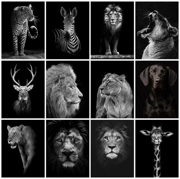diamond painting huacan 5d full drill square lion diy embroidery animal mosaic leopard handicraft home art decor
diamond painting huacan 5d full drill square lion diy embroidery animal mosaic leopard handicraft home art decor